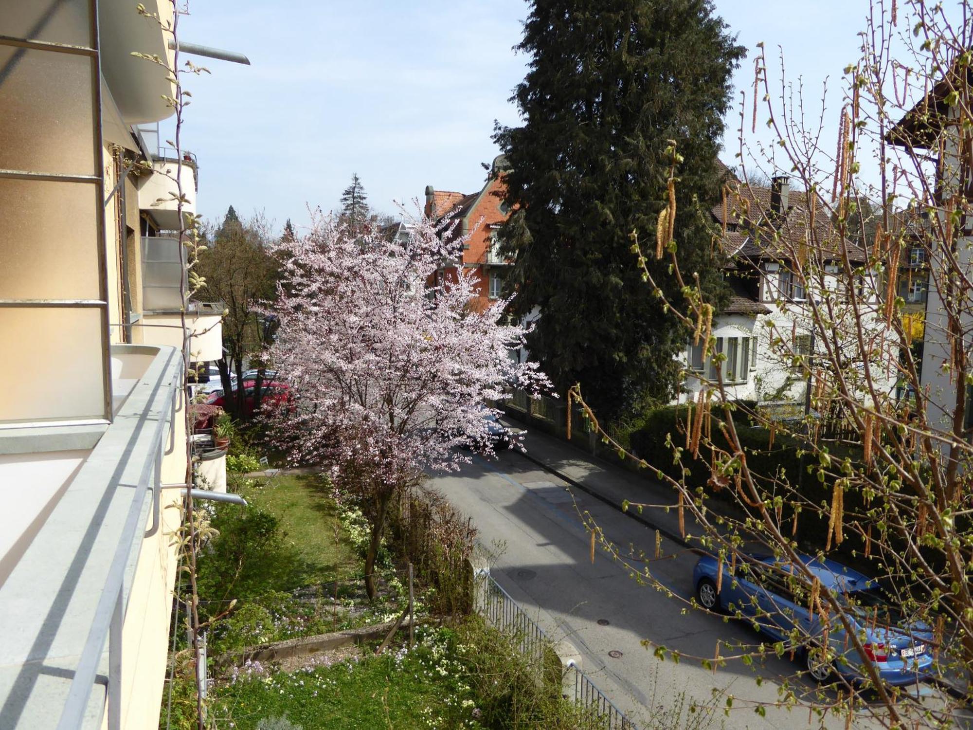 Maison Mosgenstein * Bern