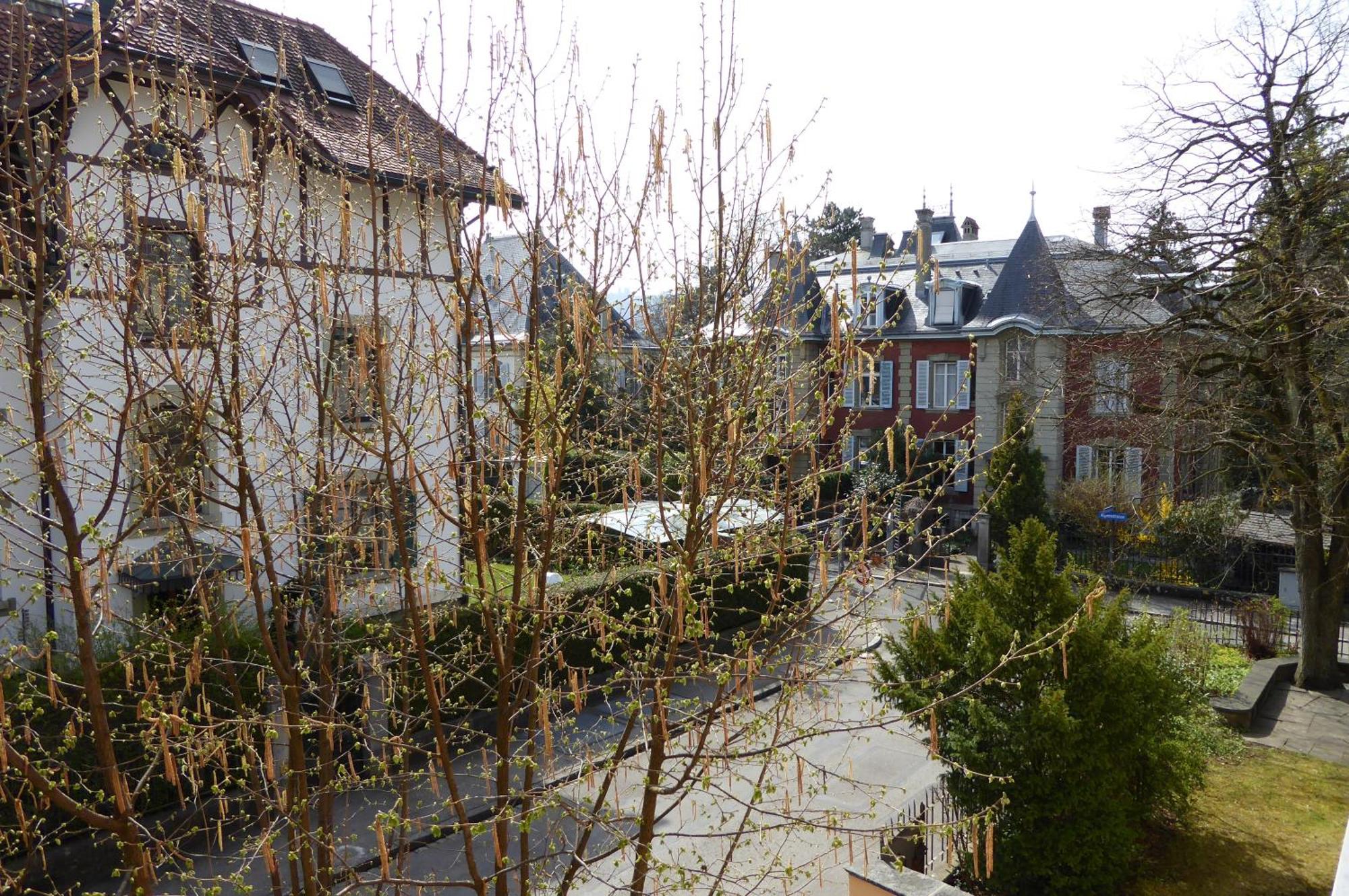 Maison Mosgenstein Appartement *